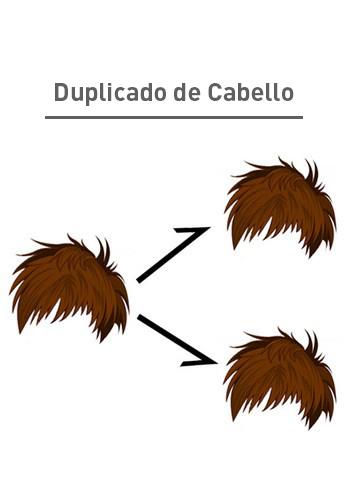 Replica de una protesis capilar para hombre y pelucas para mujer con las mismas características