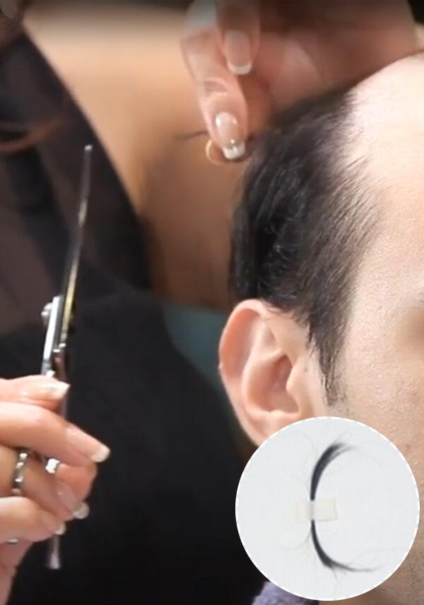 Lordhair-Servicio de Recoleccion