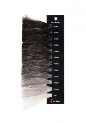 Anillo de Color | Serie de Colores con Canas para Prótesis Capilares y Pelucas en Stock para Hombre