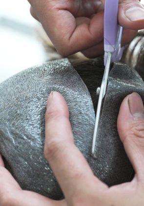 Servicio de Corte y Reducción de Base en Prótesis Capilares y Pelucas