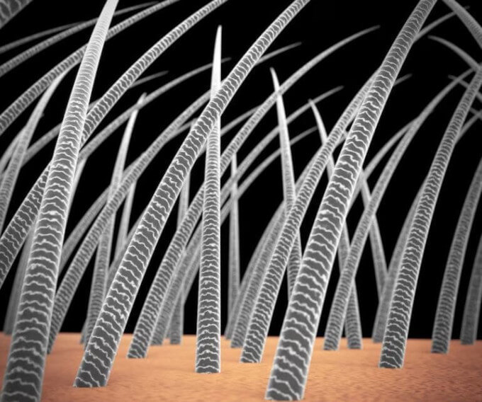 Hebras de cabello- ¿Es conveniente raparse el cabello para que vuelva a crecer sano?