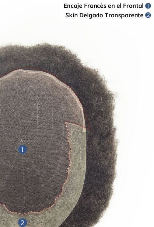 Prótesis Capilar Afro- Solución Práctica para la Pérdida de Cabello