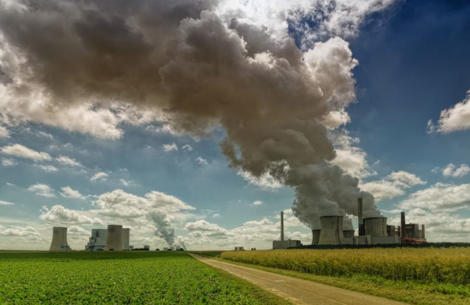 La contaminación puede ocasionar pérdida de cabello en forma de paches