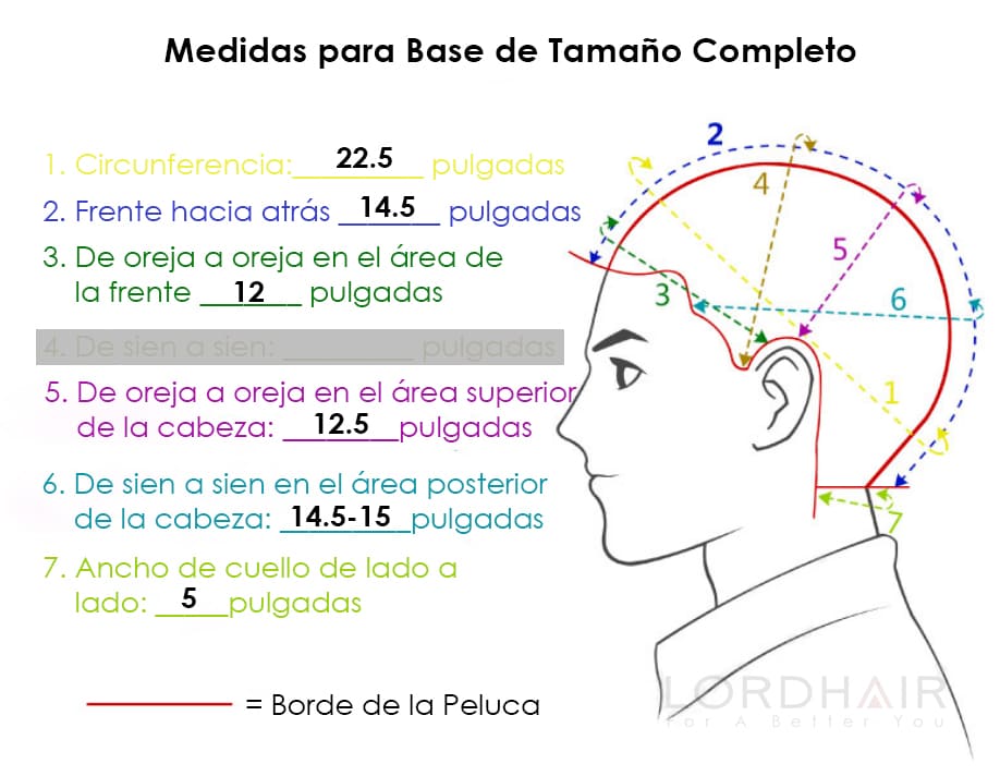 tamaño-de-base